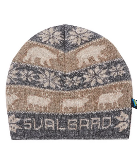 Svalbard Beanie