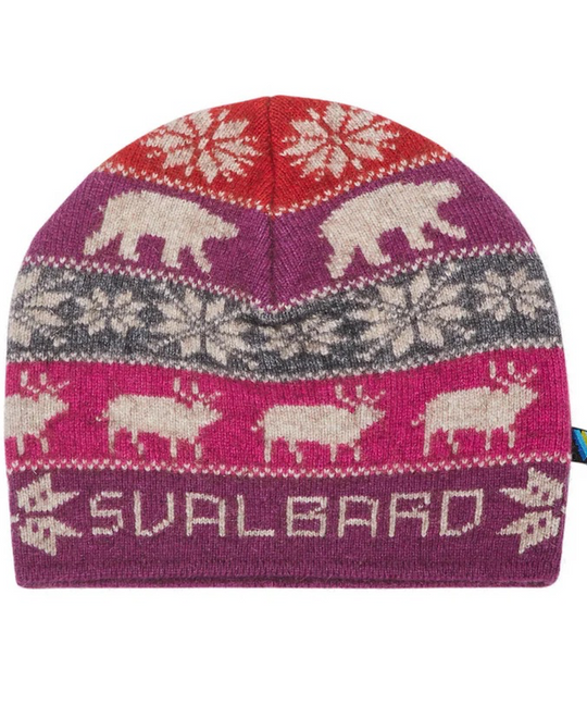 Svalbard Beanie
