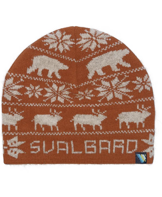 Svalbard Beanie