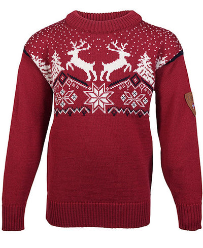Dale Children's Christmas Sweater