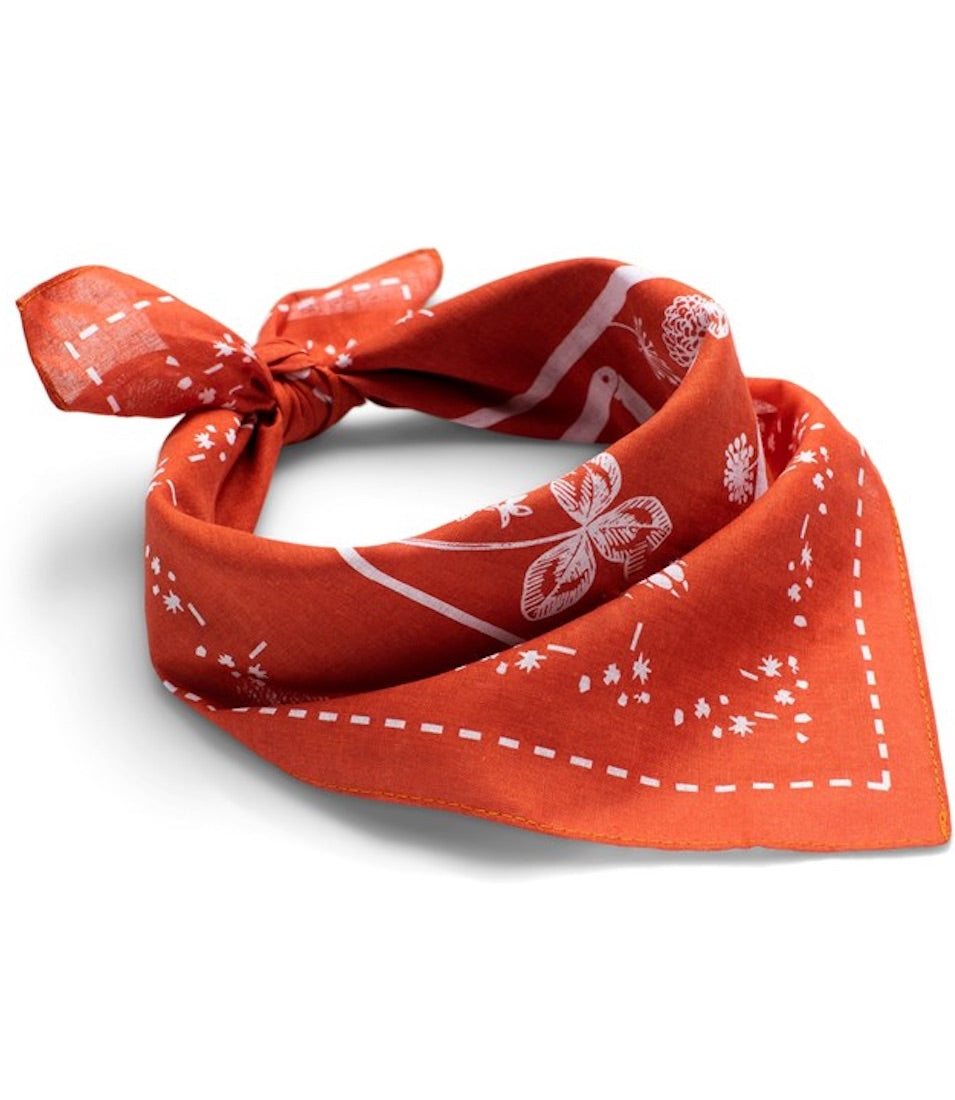 Red Vagabond bandana tied.